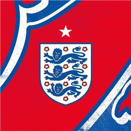 England v Argentina